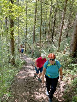DRUGA DOBRODELNA LIONS HOJA PO BOVŠKIH POTEH 7